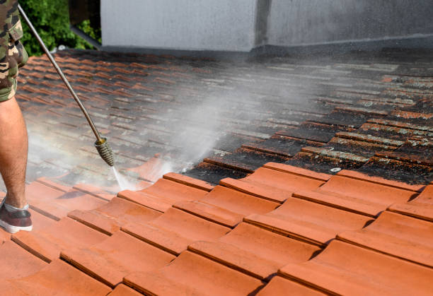 Best Residential Pressure Washing Services  in Starkville, MS