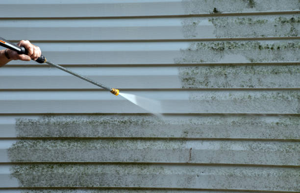 Professional Pressure Washing in Starkville, MS