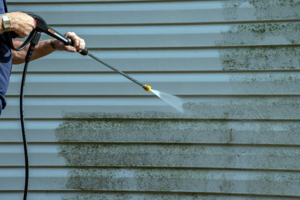 Best Sidewalk Pressure Washing  in Starkville, MS