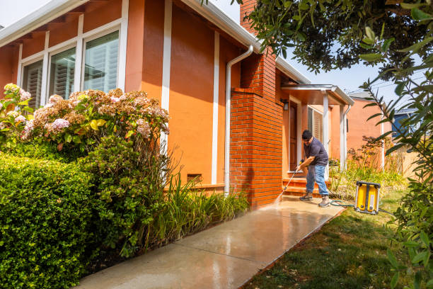 Best House Pressure Washing  in Starkville, MS