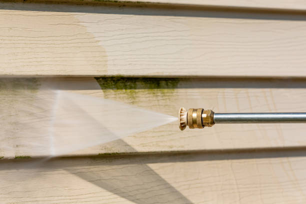 Best Local Pressure Washing Services  in Starkville, MS